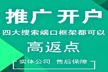百度竞价赚钱的实战案例分析